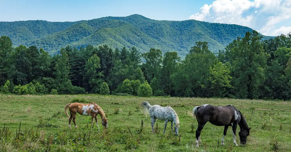 Smoky Mountains National Park