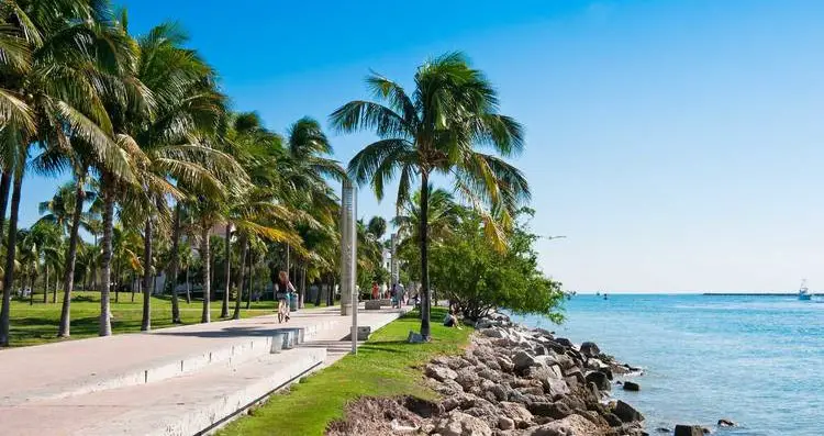 Blossoming Spring in Miami Beach Florida