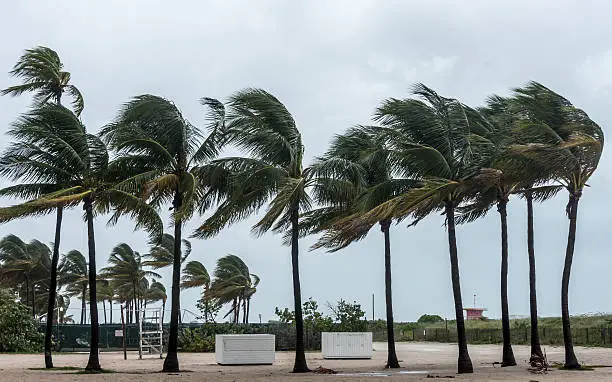 Strong Winds Miami Beach Florida