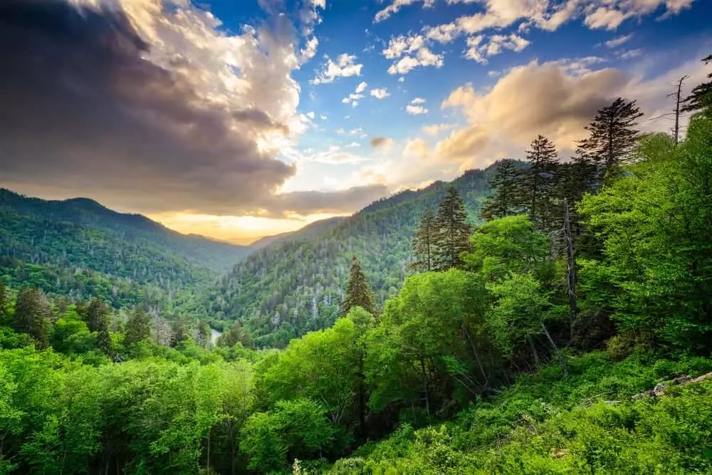 Great Smoky Mountains National Park Fun Facts