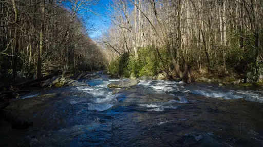 Brimming With Water Smoky Mountains National Park