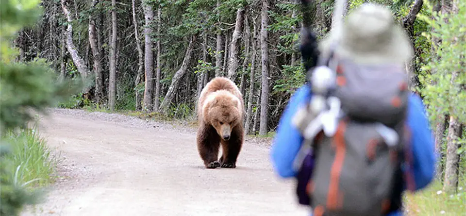 Tips For Camping In Glacier National Park