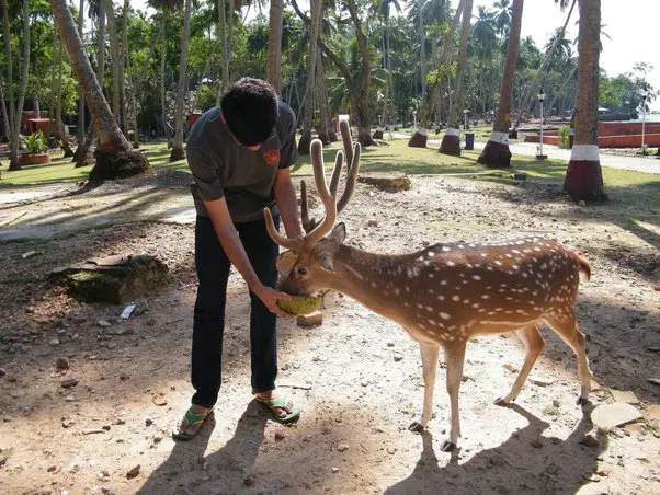 Respect Wildlife National park camping safety tips 