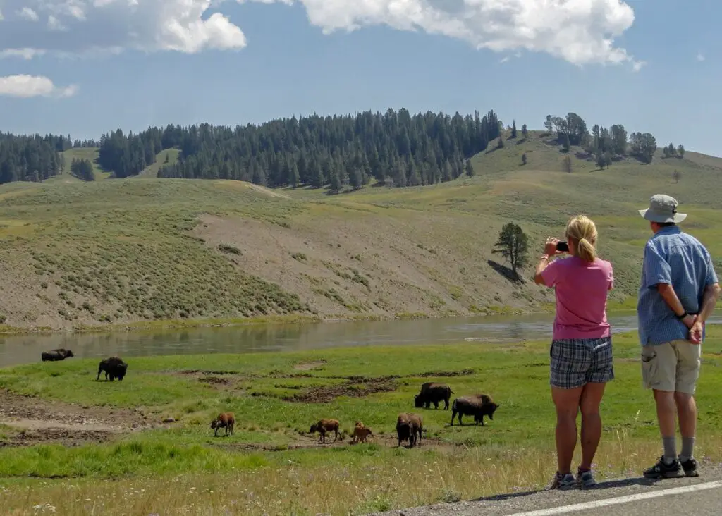 Tips For Camping In Glacier National Park